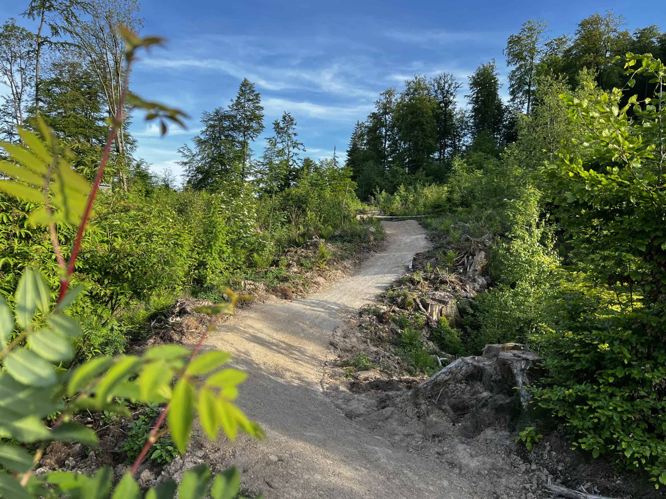 Trailpark Kassel für MTB Fahrtechnik Kurs